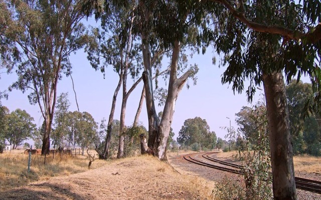 gumtree railway line